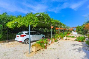 المنطقة المحيطة بالمنشأة