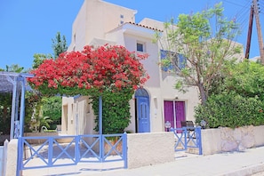 Exterior - Villa Irina Polis in Polis (Polis)
