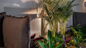 Ein gemütliches Wohnzimmer mit einer großen Topfpflanze, einem Heizkörper und einem Sofa.