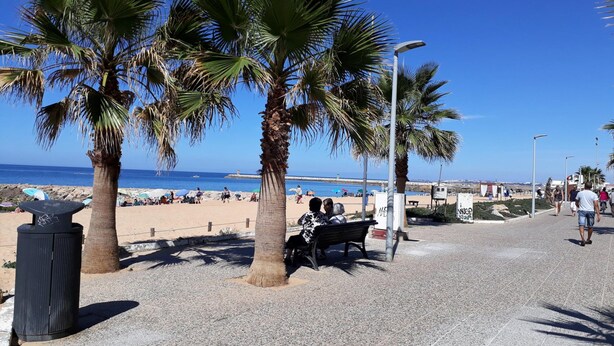 Eine gepflasterte Promenade mit Palmen, Bänken und freiem Blick auf Strand und Meer.
