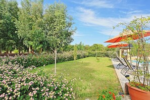 Property grounds - Villa Georgios Rafaela (Skoulli)