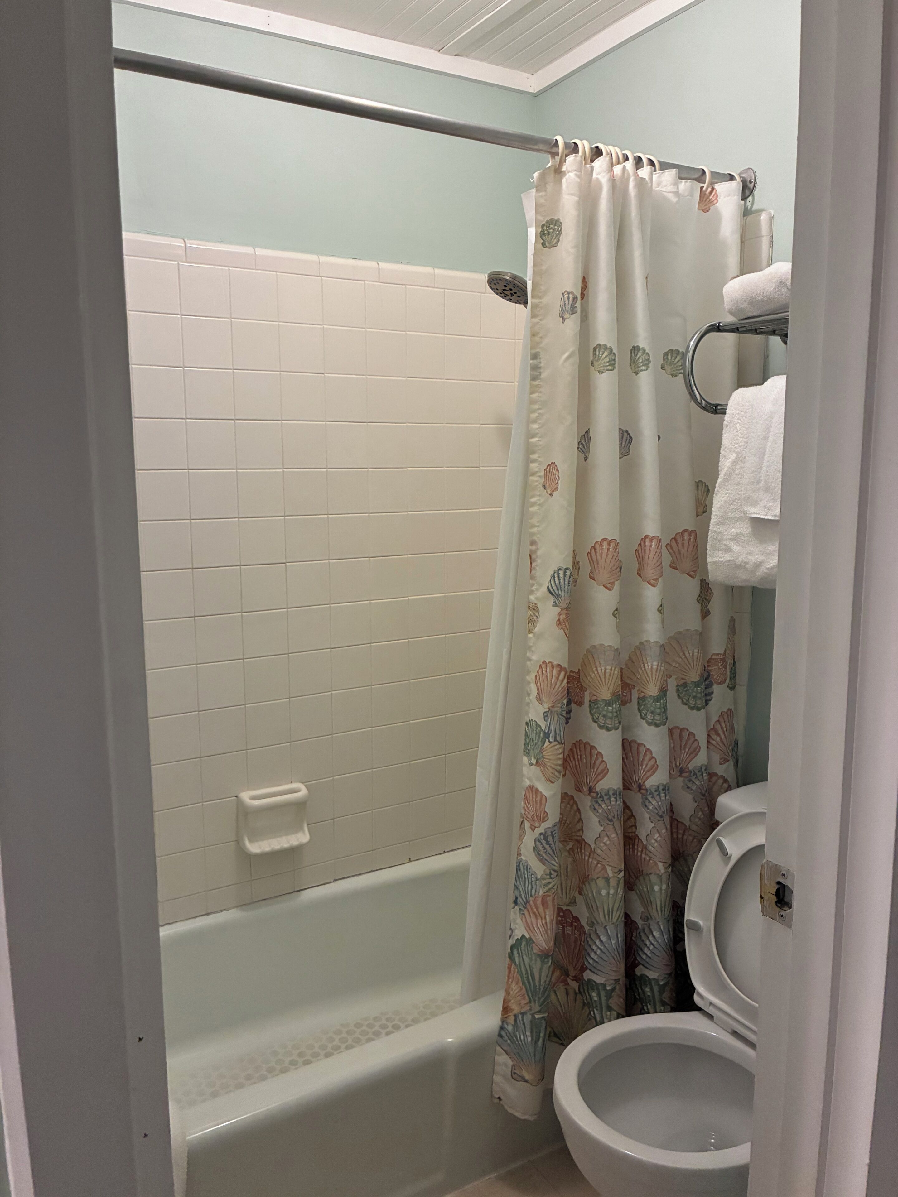 Une salle de bain avec douche, toilettes et porte-serviettes.