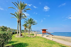Escena de playa con palmeras, una torre de salvavidas y cielo azul despejado.