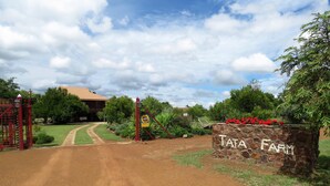 Een onverharde weg naar de toegang van een boerderij, met een stenen bord waarop 'TATA FARM' staat.