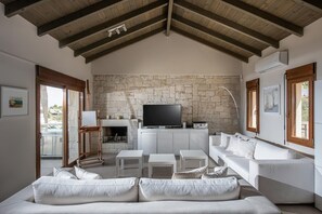 TV, fireplace, books, stereo - Omega House in Crete (Ligaria)