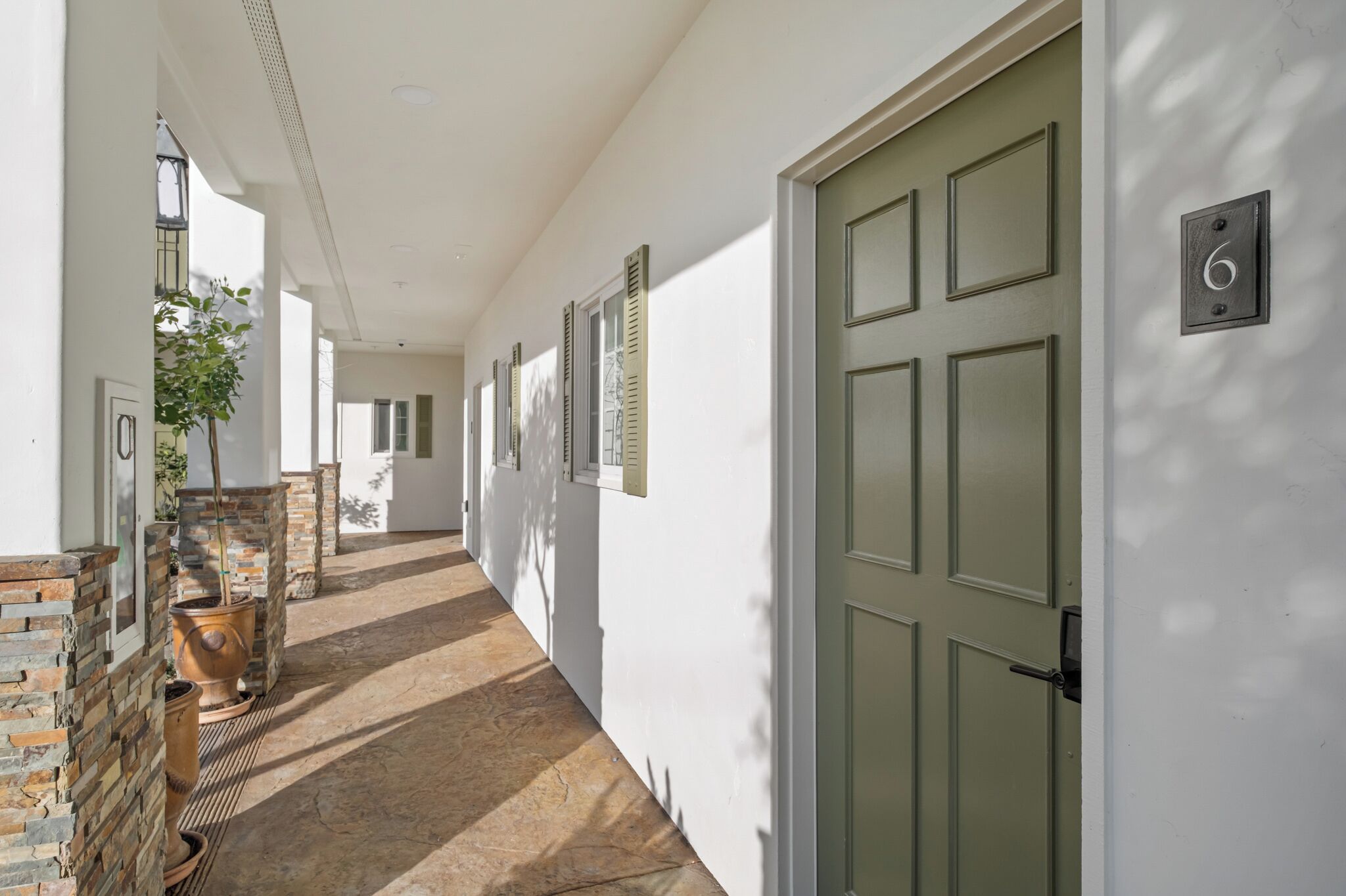 A hallway with a green door, a number 6 sign, and a potted plant.