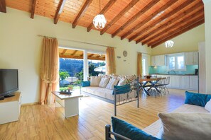 TV, books, stereo - Green Family Villa in Agios Ioannis (Agios Ioannis)