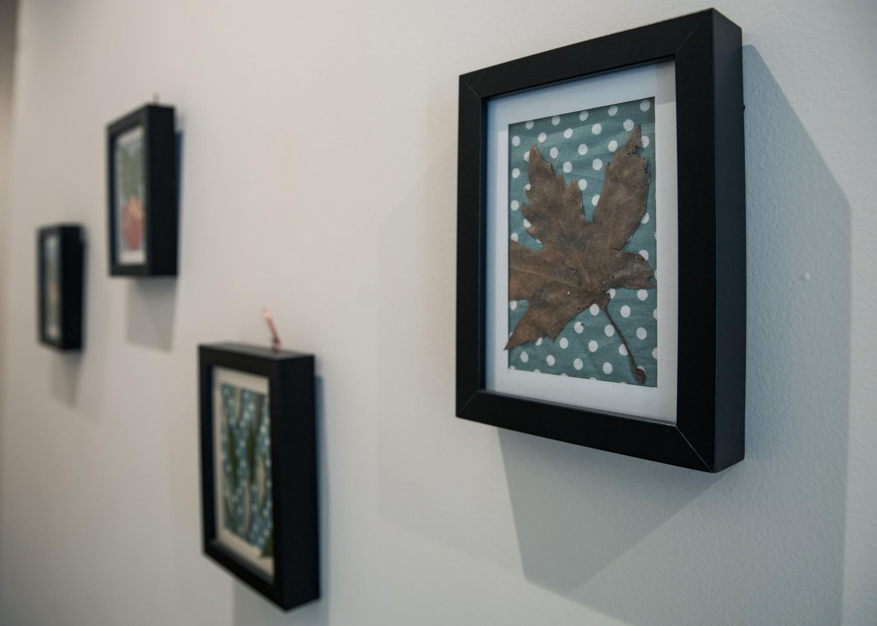 Un mur orné de tableaux encadrés, dont un représentant une feuille et d’autres œuvres aux motifs abstraits.