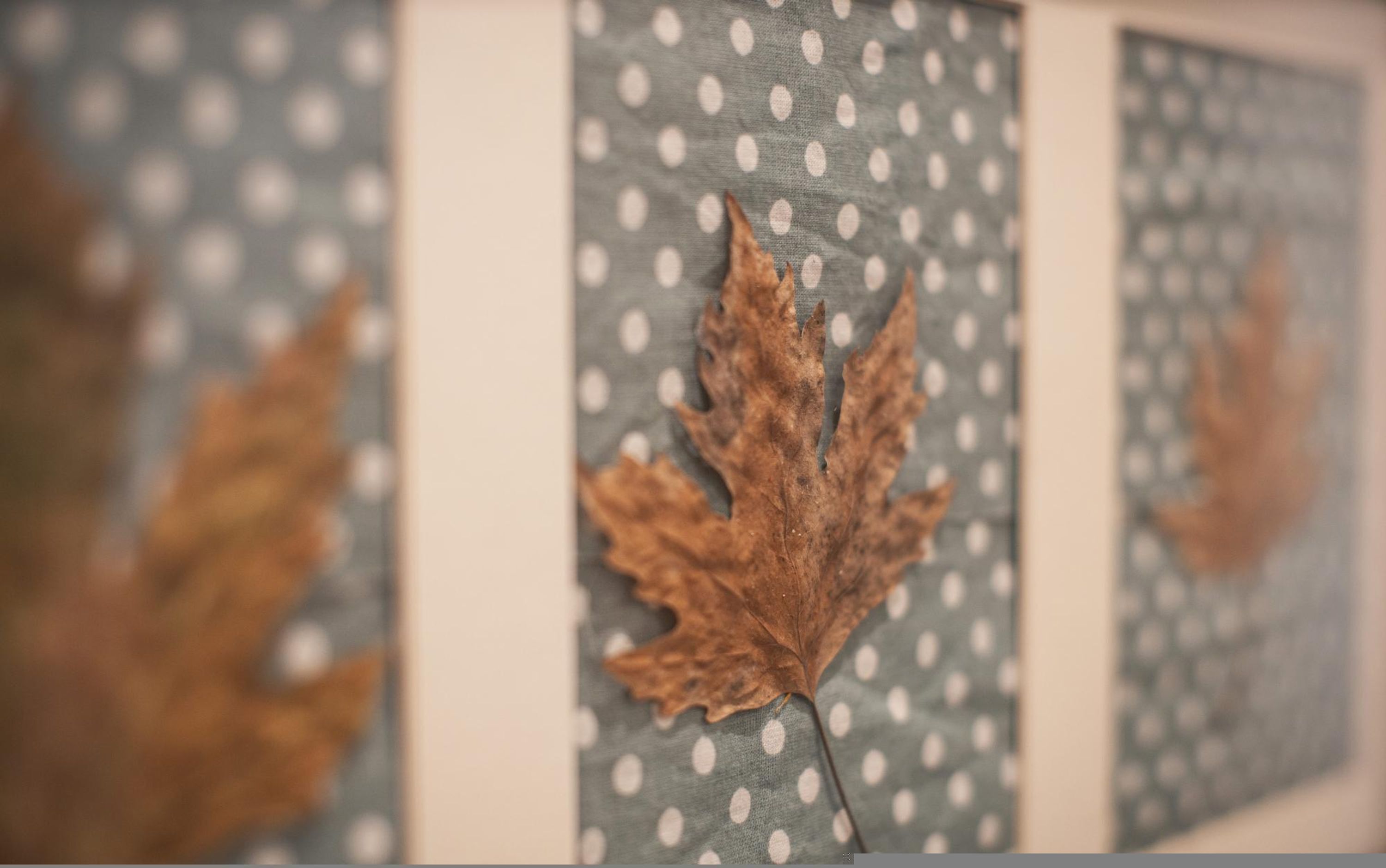 A framed leaf on a polka-dotted background.