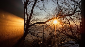 A sunset with the sun partially obscured by tree branches. - Stagiates Guest House Room 3 (Μακρινίτσα)