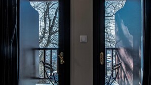 Two doors with glass panels, a wooden ceiling, and a branch decoration. - Stagiates Guest House Room 3 (Μακρινίτσα)
