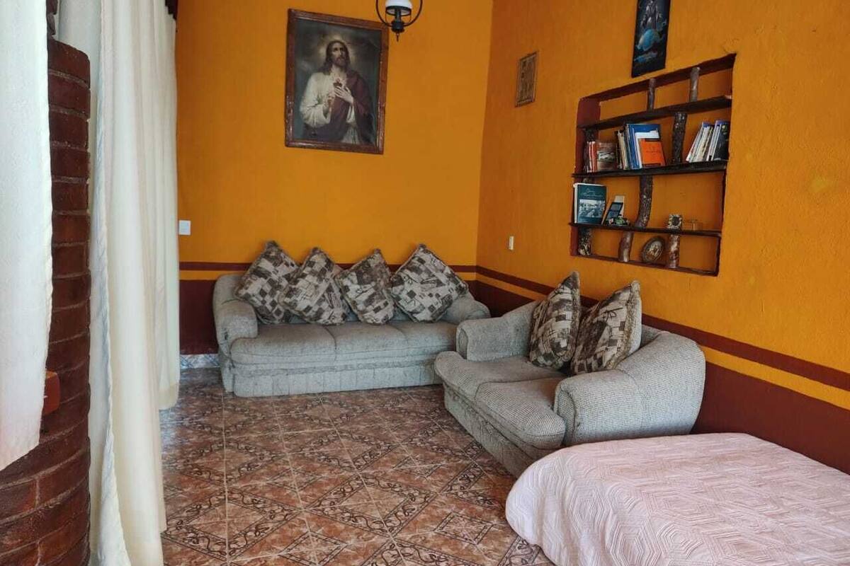 A living room with two sofas, a patterned rug, a painting on the wall, and a bookshelf.