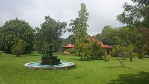 Property grounds - Centro Ecoturístico Shambala (Zitácuaro)