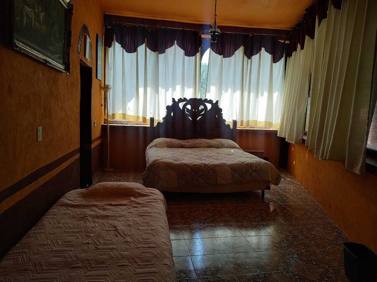 Quarto triplo básico, vista para o jardim