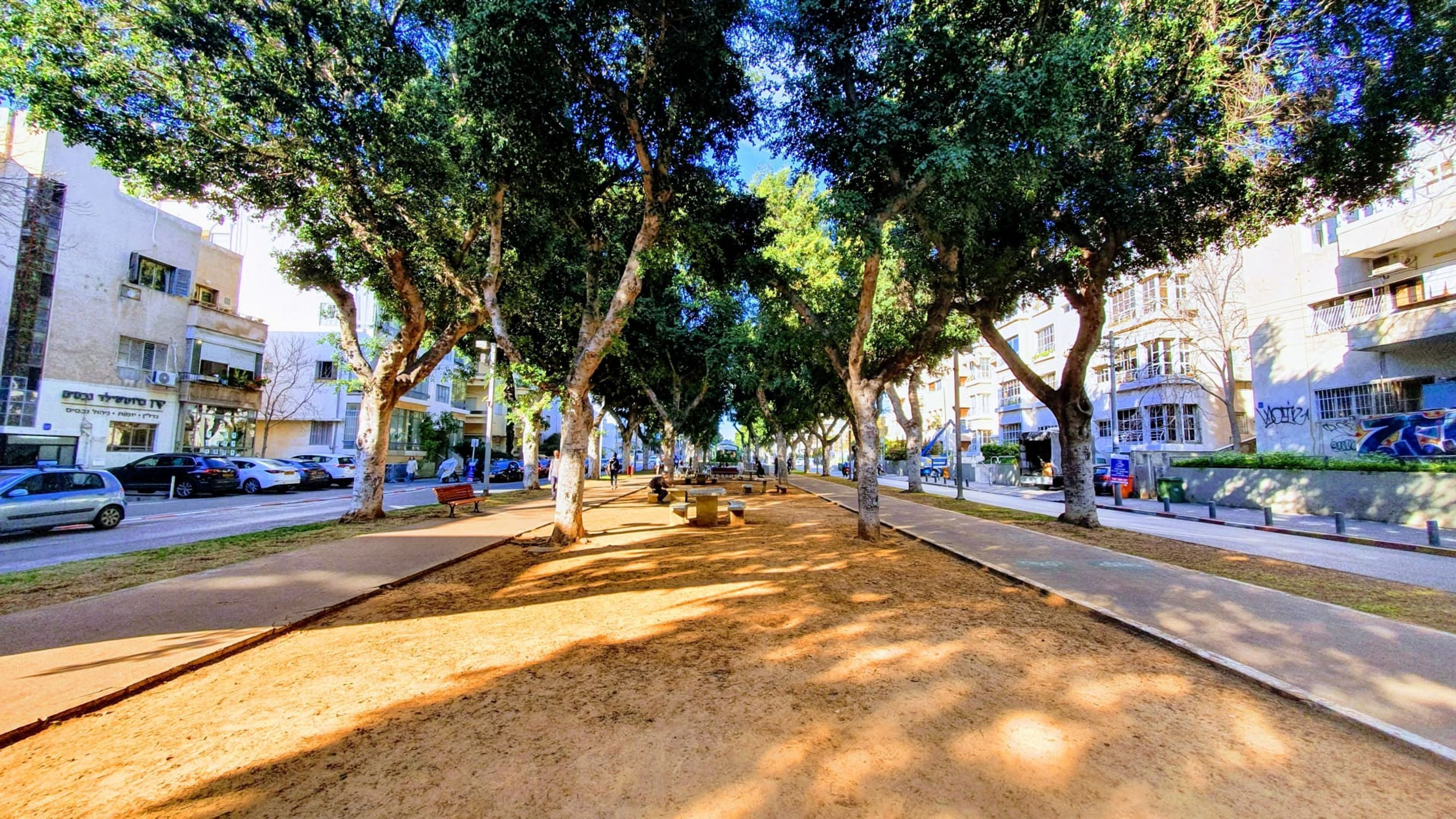 Eine von Bäumen gesäumte Straße mit Bänken und Gehweg.