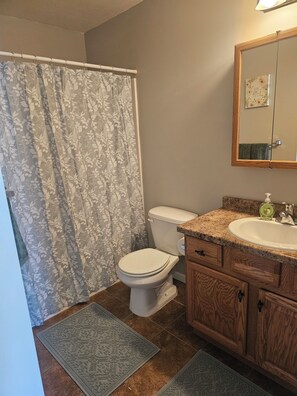 Hair dryer, towels, soap, toilet paper - 3 Bedroom 2 Bath Close to Hospital (Detroit Lakes)