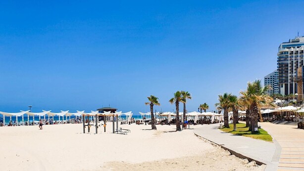 A beachside promenade with palm trees, beach umbrellas, and a high-rise hotel in the background. - Ramat Yam Marine in Herzliya (Tel Aviv-Yafo)