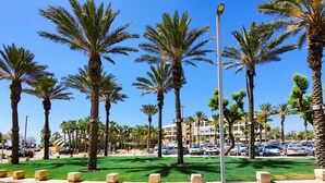 A parking lot with palm trees and a clear blue sky. - Ramat Yam Marine in Herzliya (Tel Aviv-Yafo)