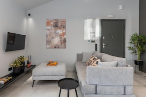 Un saló modern amb un sofà gris, un otomà petit, una taula de cafè negra, un televisor de pantalla plana, un quadre abstracte gran, una porta amb panell de seguretat i una planta en test.