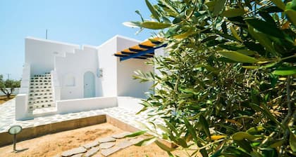 Angel Villa in Paros