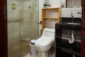 Shower, hair dryer
