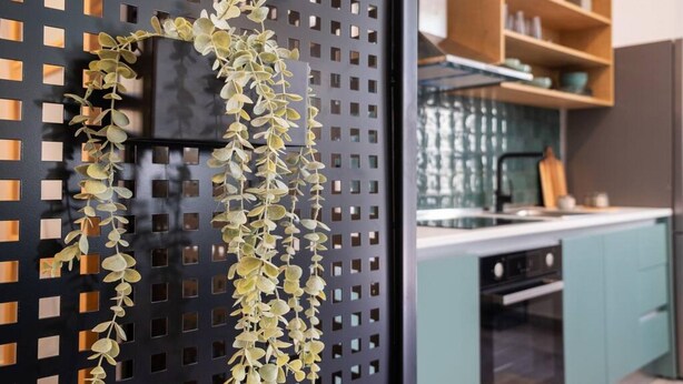 A modern kitchen with teal cabinets, a black perforated partition, and a hanging plant. - Casa d'oro 56 Living in Paradisi Rhodes (Paradisi)