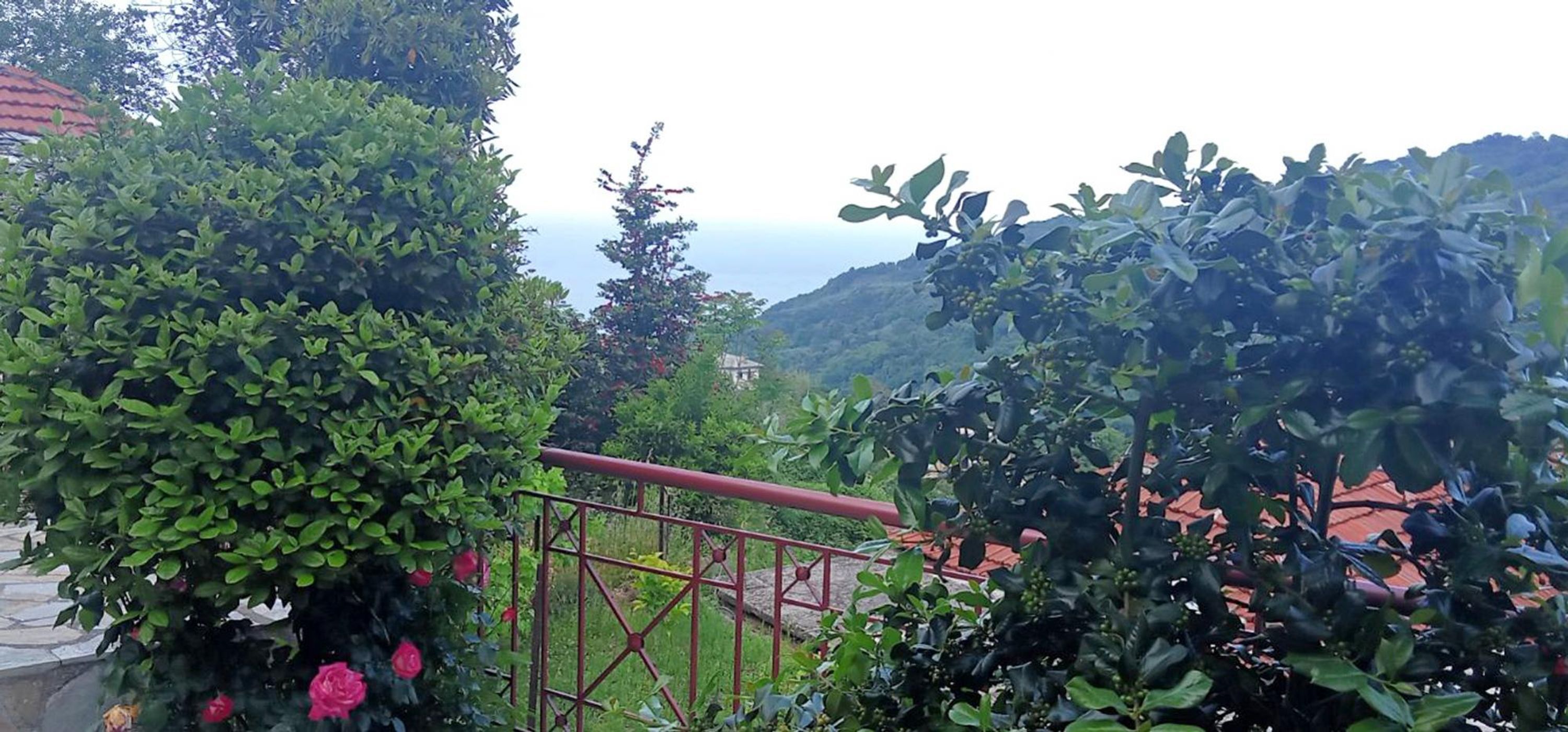 Un jardin agrémenté d’une rambarde en métal, d’une végétation luxuriante et offrant une vue sur une colline.