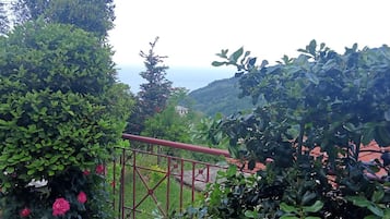 Un jardin agrémenté d’une rambarde en métal, d’une végétation luxuriante et offrant une vue sur une colline.