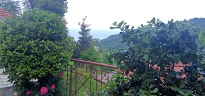 Property grounds - Anastasia's Cottage in Pelion (Makrirrachi)