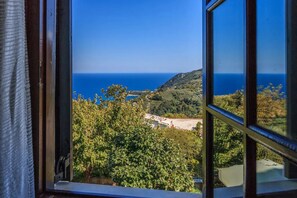 Une vue à travers une fenêtre ouverte sur un paysage côtier, avec un ciel bleu dégagé, une végétation luxuriante et une côte lointaine.