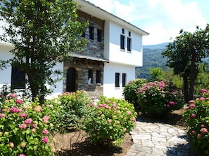 Une maison à deux étages avec une façade en pierre, un chemin d’accès en pierre et une végétation luxuriante.