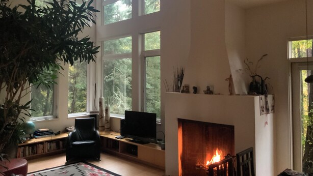 Ein Wohnzimmer mit Kamin, großen Fenstern, Fernseher und Bücherregal.
