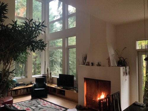 Rainwater Residence, an architectural gem, secluded, spatious and spatial.