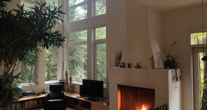 Rainwater Residence, an architectural gem, secluded, spatious and spatial.