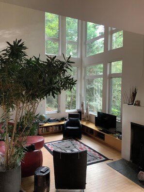 Unclassified image, 3 of 17, button