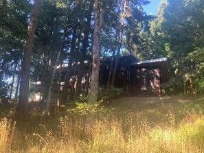 Imagem sem classificação, 5 de 17, botão