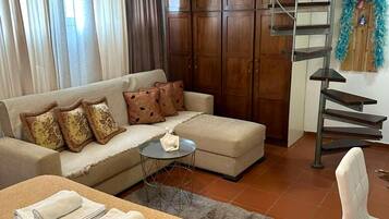 TV, fireplace, books, offices