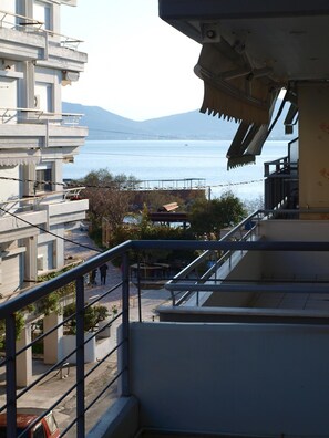 Property grounds - Vosinakis House in Volos (Volos)
