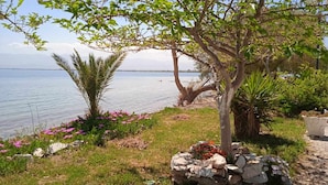 A coastal landscape with a stone wall, flowering plants, and a palm tree. - Alonaki Seafront Cottage (Nea Agchialos)