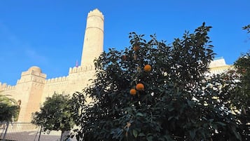 Apartment, 2 Bedrooms, Terrace | Terrace/patio