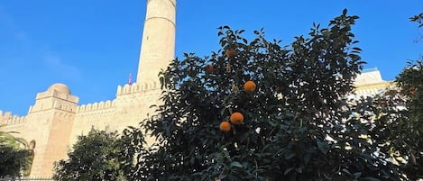 公寓, 2 间卧室, 露台 | 露台