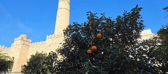 Charming 4room Apartment in the Heart of Sousse