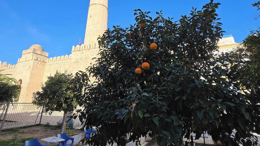 Charming 4room Apartment in the Heart of Sousse