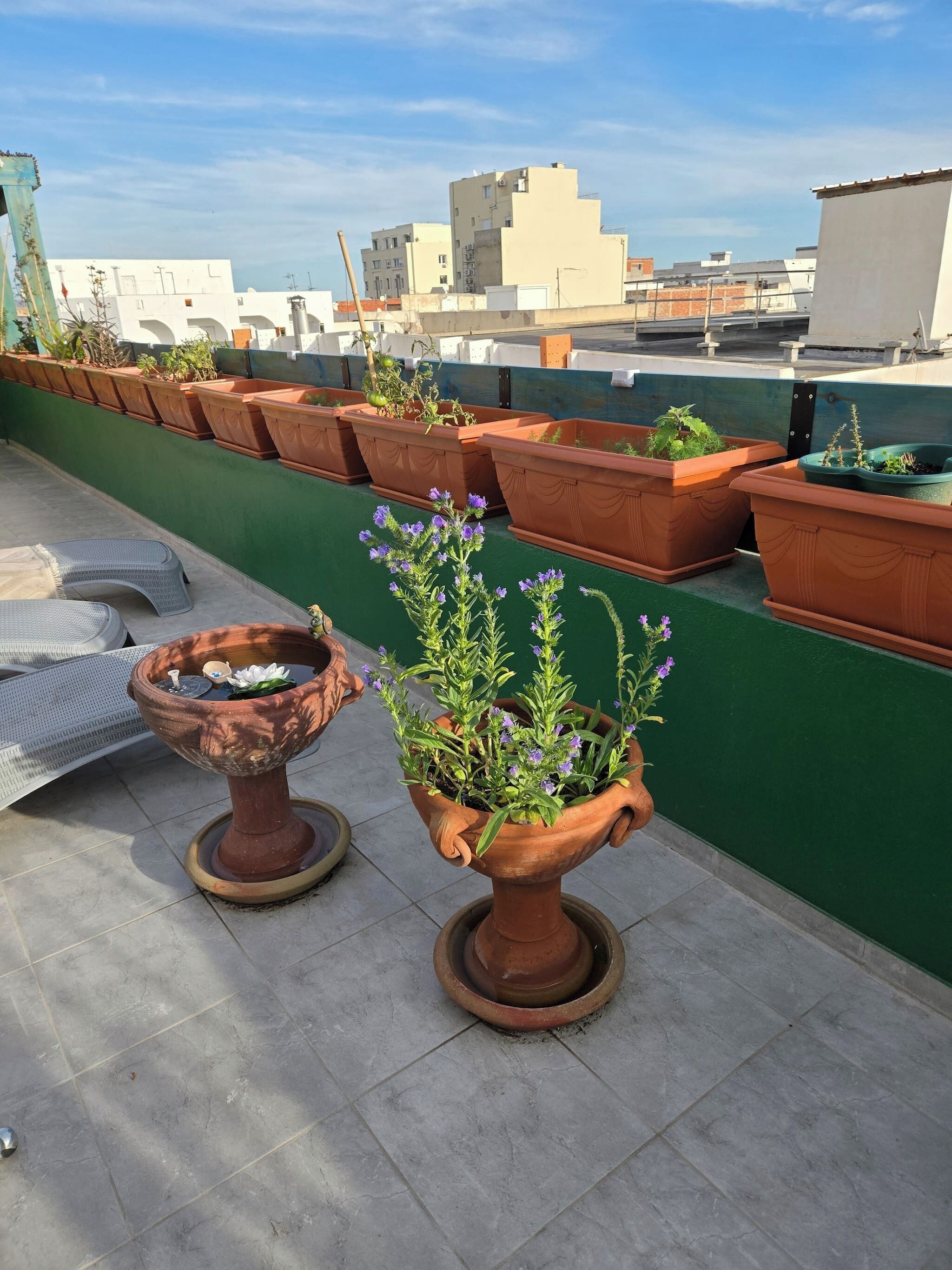 A rooftop terrace with terracotta planters and a decorative urn.