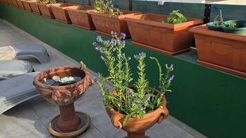 A rooftop terrace with terracotta planters and a decorative urn.