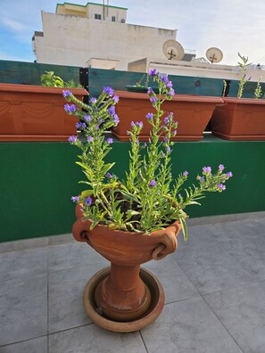 Apartment, 2 Bedrooms, Terrace | Property grounds - Charming 4room Apartment in the Heart of Sousse (Sousse)