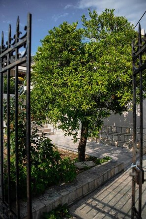 Property grounds - Betty's 4 Seasons in Agria (Agria)