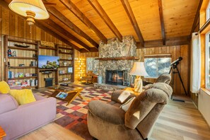 Smart TV, chimenea, reproductor de DVD y libros 