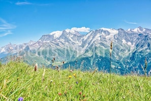 Berglandschaft mit schneebedeckten Gipfeln und einem Vordergrund aus grünem Gras und Wildblumen.