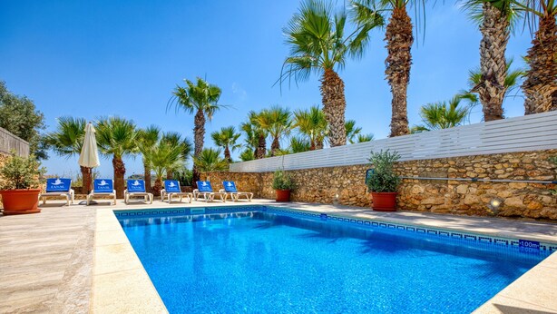 Une piscine avec des chaises longues et des palmiers.